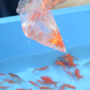 ���傤���Ȃ����炿����Ƃ��܂�